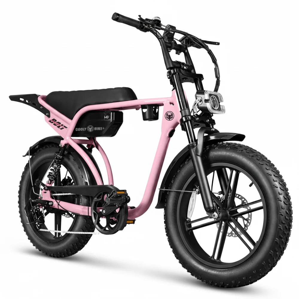 Electric Bikes